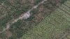 FILE - In this photo released by the Malacanang Photo Bureau shows damage on crops after flash floods caused by a powerful typhoon hit Compostela Valley, southern Philippines.