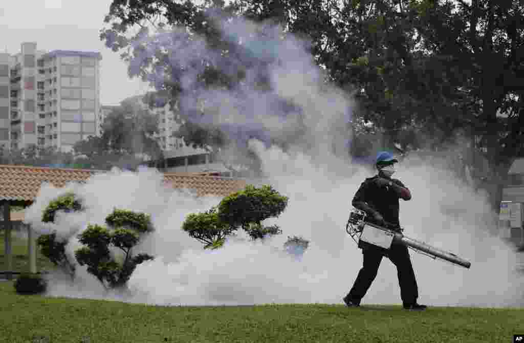 Seorang petugas melakukan penyemprotan pestisida di mana ditemukan kasus virus Zika di Singapura.