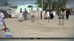 اخبار شامگاهی