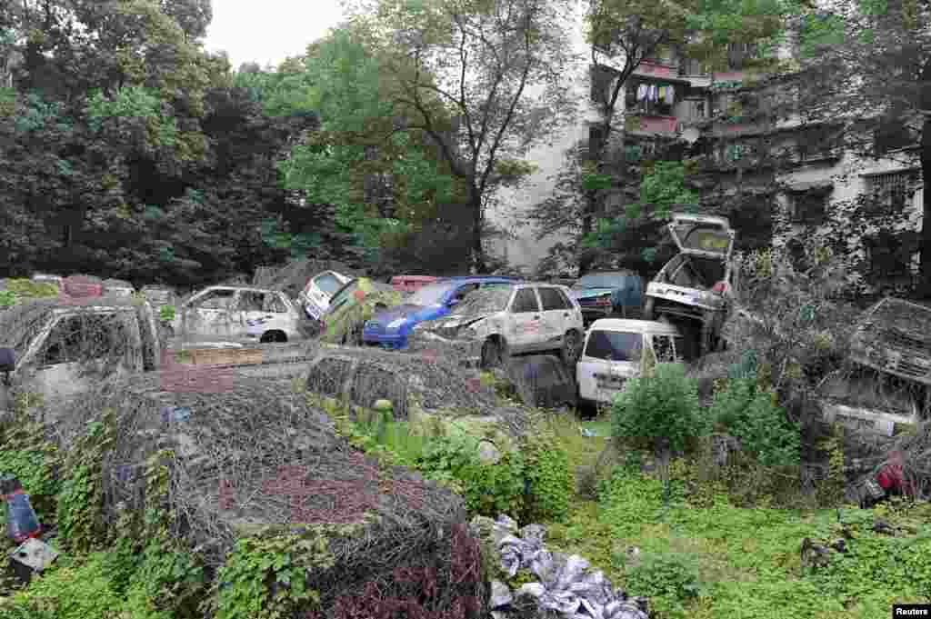 Scrapped vehicles covered with vegetation are seen in Chengdu, Sichuan province, China.