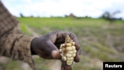 Zimbabwe El Nino