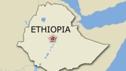 አባላት ፍሉይ ሓይሊ ትግራይ ንመንግስቲ ክልሎም ራሕሪሖም ናብ ክልል ኣምሓራ ምእታዎም ተገሊጹ፥ መንግስቲ ክልል ትግራይ ግን ነቲ ሓበሬታ ነጺግዎ'ሎ
