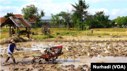 Petani membajak sawah di Sleman, Yogyakarta. Di kejauhan ekspansi bangunan mengancam. (Foto: VOA/Nurhadi)