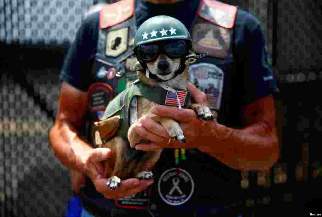 A man holds his dog, as participants gather in the parking lot of the Pentagon as thousands of military veterans and their supporters participate in the 31st annual Rolling Thunder motorcycle rally and Memorial Day weekend "Ride for Freedom" motorcycle procession in Washington, May 27, 2018.