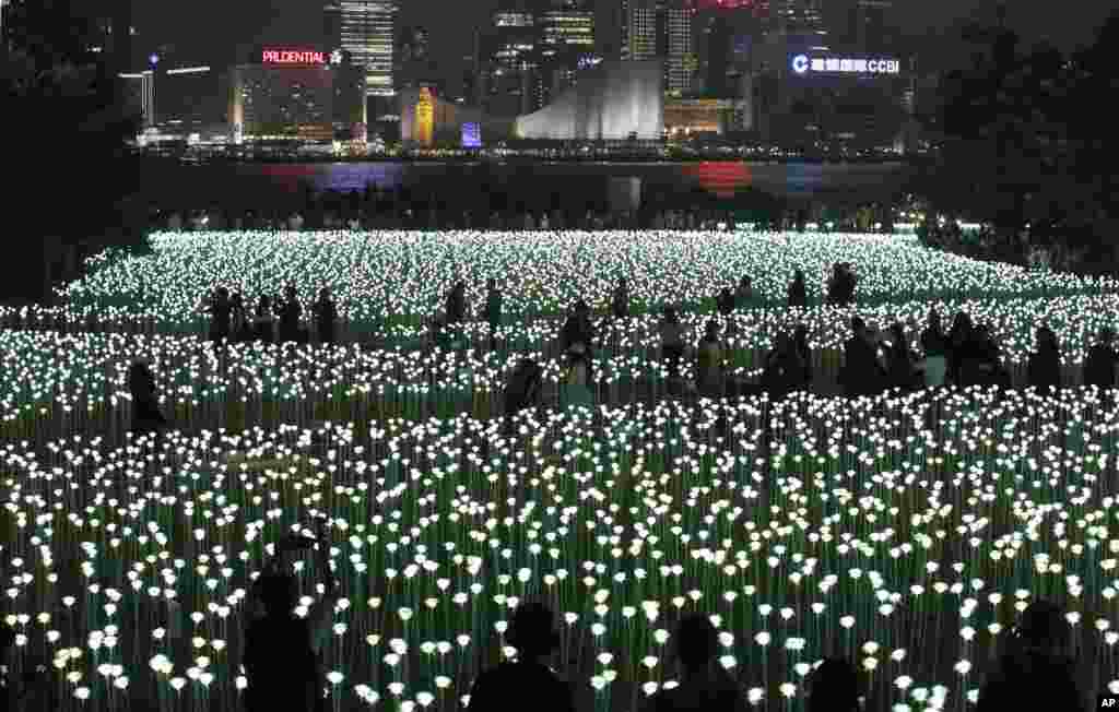 LED light roses are lit up at the &ldquo;Light Rose Garden&rdquo;, against the backdrop of Central, the business district of Hong Kong.