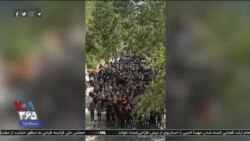 اخبار شامگاهی