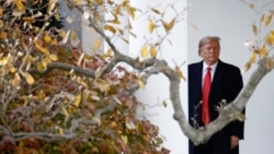 VOA Asia - Trump says partial trade deal is close