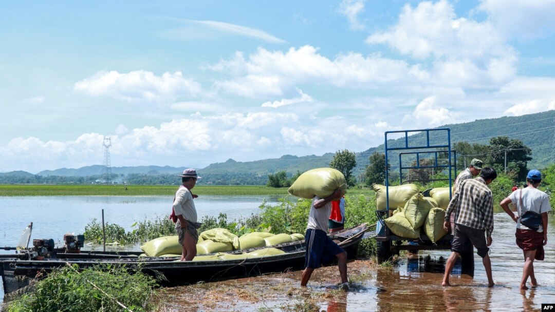 ကယားပြည်နယ် (သို့) ကရင်နီပြည်နယ် လွိုင်ကော်မြို့နယ်အတွင်းက တိုင်ဖွန်း Yagi (ရာဂီ) ကြောင့် ရေဘေးဒဏ်သင့် ဘုရားဖြူရွာမှာ ဆန်အိတ်တွေကို ထမ်းသယ်နေတဲ့ လယ်သမားများ (စက်တင်ဘာ ၁၆၊ ၂၀၂၄)