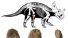 A First Diagnosis of Cancer in a Dinosaur 