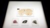 FILE - Microscopic slides of human brain are seen at the Multiple Sclerosis and Parkinson’s UK Tissue Bank at Imperial College London, Britain, June 3, 2016. 
