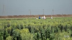 After Drought, California Looks to Replenish Aquifers