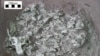 The remains of 25 dinosaurs were found in a single rock slab from northeastern China. (University of Pennsylvania)