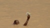 16x9 Image